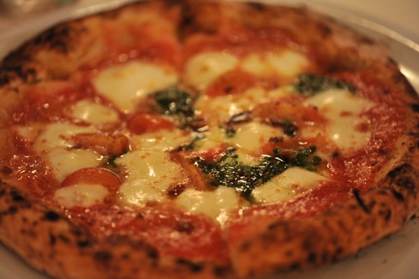 105 pizza 2 DSC_5288.jpg